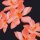 Elise by Bienvenido Colorido, Jersey Baumwolle, Swafing, Magnolien Blüten, koralle