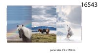 Pferde Panel, French Terry, Stenzo, 3 Motive, 75x150 cm