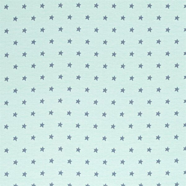 Heavenly Friends by Steinbeck, Swafing, Jersey Baumwolle, mint-grau kleine Sterne mint