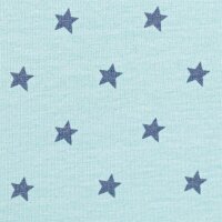 Heavenly Friends by Steinbeck, Swafing, Jersey Baumwolle, mint-grau kleine Sterne mint