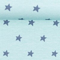 Heavenly Friends by Steinbeck, Swafing, Jersey Baumwolle, mint-grau kleine Sterne mint