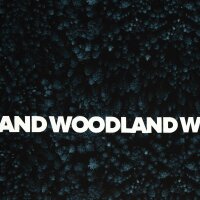 Woodland by Thorsten Berger, French Terry, Swafing, endloser Wald petrol