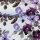 Lena, Jersey Baumwolle, Swafing, Aquarellblumen, flieder